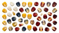 Collection of colorful natural gemstones and minerals isolated on white background for jewelry design and crafting projects.