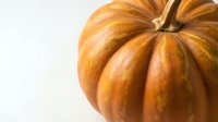 Orange pumpkin with natural ridged texture isolated on white background for autumn harvest decorations and seasonal design projects.