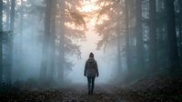 Person walking alone through misty forest path with dramatic sunlight filtering through tall trees creating atmospheric woodland scene.
