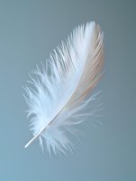 Delicate white feather floating against soft blue background, perfect for wellness, spirituality, or peace concepts. Macro photography highlights intricate details and gentle texture.
