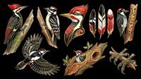 Woodpecker birds isolated on transparent background, ready for t-shirt design, clipart, stickers, sublimation and print-on-demand products.