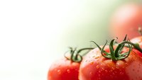 Fresh ripe red tomatoes with water droplets on light background for healthy cooking and organic food concepts.