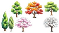 Watercolor tree collection showing seasonal changes from spring to winter isolated on white background for nature design projects.