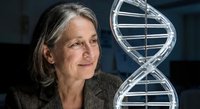 Senior female scientist examining DNA double helix model in modern laboratory for genetic research and biotechnology studies.