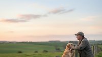 An older man wearing a cap stands in a vast rural field at sunset, holding and petting a golden retriever dog. Countryside landscape background.