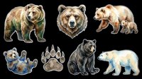 Grizzly bear, brown bear, and polar bear illustrations isolated on transparent background, ready for t-shirt design, clipart, stickers, sublimation, and print-on-demand products.