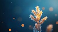 Glowing golden fern leaf covered in morning frost crystals against dark blue background with bokeh lights, creating magical winter nature macro photography.