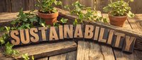 Wooden letter blocks spelling sustainability with green plants in terracotta pots on rustic wooden surface for eco-friendly gardening and environmental awareness.