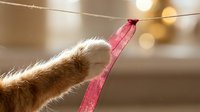 Ginger cat paw reaching up to pink ribbon hanging on string with warm bokeh background, playful pet behavior and interaction.