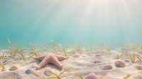 Pink starfish resting on sandy ocean floor with seagrass and shells in tropical underwater marine environment for educational and nature content.