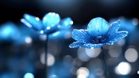 Luminous blue anemone flowers with delicate petals glowing against dark background, creating dreamy bokeh effect. Artistic macro photography for nature decor.