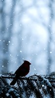 Red cardinal bird perched on snow-covered evergreen branch during winter snowfall with soft blue bokeh background for seasonal holiday designs.