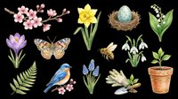 Watercolor spring and garden elements including cherry blossoms, daffodils, crocus flowers, butterfly, bird, bee, fern, nest with egg, lily of the valley, snowdrops, and potted plant isolated on transparent background. Ready for clipart, t-shirt design, stickers, and print-on-demand projects.