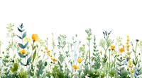 Delicate watercolor wildflowers border with yellow blooms and green foliage creates fresh spring meadow composition on white background for stationery design.