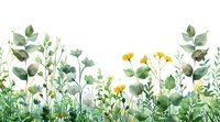 Watercolor meadow border with eucalyptus leaves, yellow wildflowers and green foliage on white background. Seamless bottom edge for decorative design.