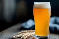 Fresh cold wheat beer with foam head in traditional glass on wooden table with barley ears, dark background for brewery advertising.