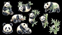 Cute panda bear clipart set with bamboo, isolated on transparent background. Watercolor style stickers for t-shirt design, print on demand, and sublimation crafts.