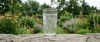 Fresh sparkling water in clear glass on wooden surface with lush green garden background. Refreshing drink for healthy lifestyle and hydration concepts.