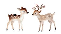 Adorable spotted fawn and young deer watercolor illustration on white background, forest animals for nursery art and children book design.