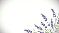 Lavender flowers on soft pastel background with copy space for text and design projects. Natural botanical border frame composition.