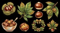 Chestnuts and spiky shells isolated on transparent background, ready for t-shirt design, clipart, stickers, print-on-demand products, sublimation crafts and digital design projects.