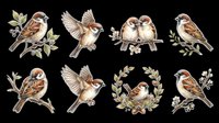 Sparrow birds isolated on transparent background, ready for t-shirt designs, clipart, stickers, sublimation and print-on-demand products. Eight detailed illustrations with botanical elements.