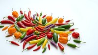 Colorful hot chili peppers in red, yellow, orange and green varieties arranged on white background, suitable for food and culinary design projects.