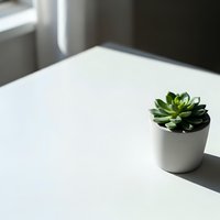 Small succulent plant in white ceramic pot on clean white desk surface with natural window light creating soft shadows for modern minimalist home office decor.