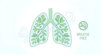 Clean lungs with green leaves pattern representing healthy respiratory system and fresh air breathing on white background for medical wellness concepts.