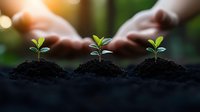Young green seedlings growing in fertile soil with nurturing hands in background against natural sunlight, representing growth, sustainability and new beginnings.