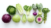 Variety of fresh cabbage types arranged in a flat lay on white background, including savoy, bok choy, kohlrabi, and Brussels sprouts.