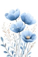 Watercolor blue poppies with delicate stems and leaves on white background, soft botanical illustration for home decor and wedding invitations.