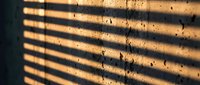Warm sunlight streaming through horizontal window blinds creating striped shadow patterns on textured wall surface during golden hour morning light.