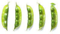 Fresh green pea pods with water drops arranged in row on white background, showing natural organic vegetables for healthy eating and cooking concepts.