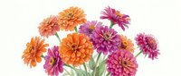 Vibrant orange and pink gerbera daisies with layered petals and green stems arranged in a cheerful bouquet against white background for floral designs.