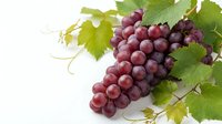 Fresh red grapes cluster with green vine leaves isolated on white background for healthy food design and culinary projects.