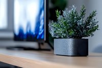 Small potted rosemary herb plant in modern gray planter on wooden desk beside computer monitor for home office decor and indoor gardening workspace design.