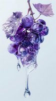 Fresh purple grapes with water drops and flowing juice stream on light background, artistic food composition with translucent liquid effect.