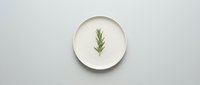 Minimalist flat lay composition featuring fresh rosemary sprig centered on white ceramic plate against neutral background, suitable for culinary, wellness, and organic product design projects.