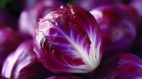 Fresh radicchio head with vibrant purple leaves and white veins in macro shot showing detailed texture and natural pattern, suitable for food photography and culinary design.