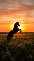 Majestic horse rearing against dramatic sunset sky in golden grassland field. Silhouette captures wild stallion's power and freedom in natural prairie landscape.