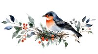 Watercolor robin bird perched on branch with red berries and green leaves, nature wildlife illustration for seasonal greeting cards and home decor.
