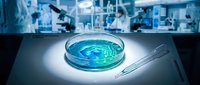 Laboratory petri dish with blue solution and pipette on sterile surface in modern research facility for scientific experiments and medical testing.