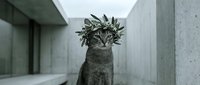 Funny cat wearing spiky crown in modern concrete corridor, looking directly at camera with serious expression. Humorous pet portrait for greeting cards, social media, and entertainment content.