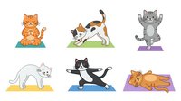 Cartoon cats in various poses sitting and stretching on colored mats, isolated on white background. Suitable for children's books, educational materials, pet-related designs, stickers, and clipart applications.