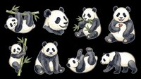 Cute panda bear set isolated on transparent background, ready for stickers, t-shirt design, clipart, print on demand, and sublimation projects.