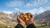 Farmer holding freshly harvested potatoes in cupped hands against mountain valley landscape, showcasing organic agriculture and rural harvest season for farming and food production content.