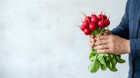 Farmer holding fresh red radishes with green stems and leaves against white background, ready for farmers market or organic produce sales.