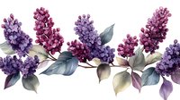 Watercolor lilac flowers border with blue-gray leaves on white background, seamless floral pattern for textile and wallpaper design, spring botanical art.