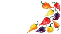 Colorful hot chili peppers border on white background isolated for spicy food design, cooking recipes and culinary projects.